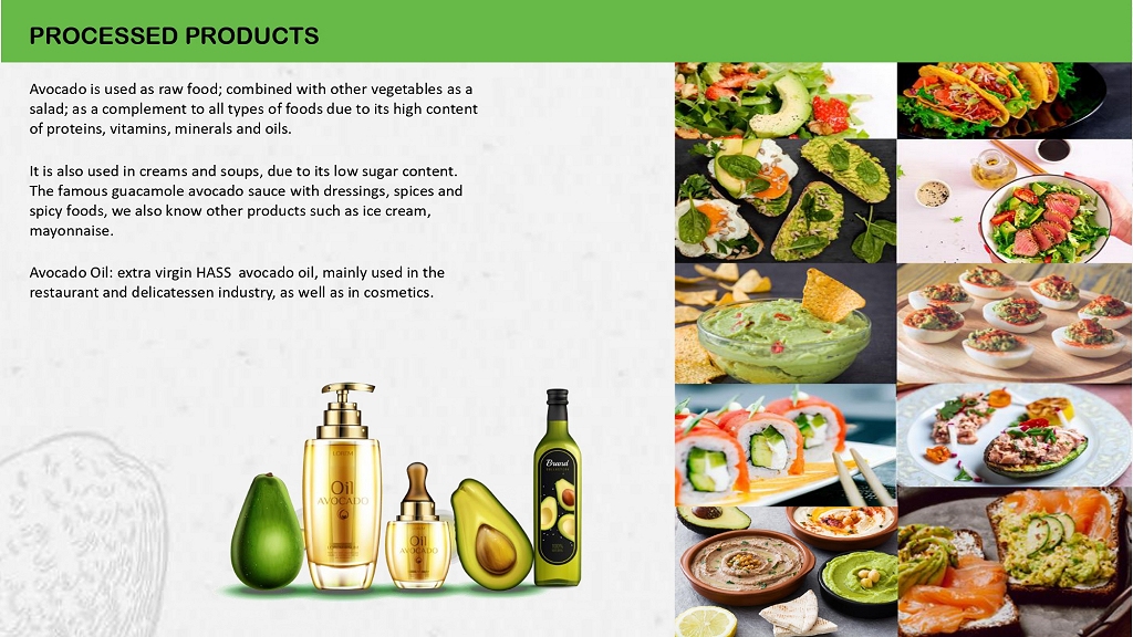 Avocado Aguacate Palta page 05
